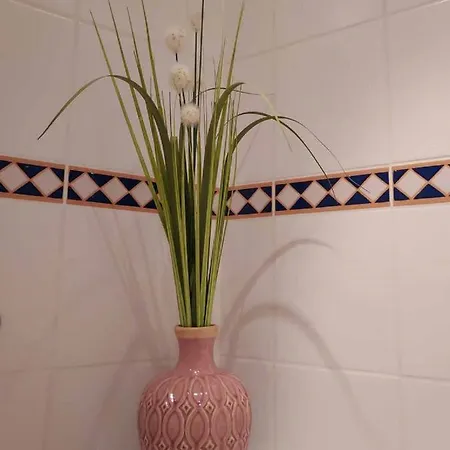 Bergluft Appartement